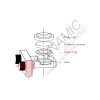 Laser Spring-Loaded Sealing Ring 21x15x3mm