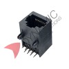 RJ45 Ethernet Network PCB Socket (Long Type)
