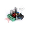 Voltage Regulator Dimmer SCR 220V 2000W Voltage Regulator Dimmer SCR 220V 2000W