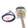 Stepper Motor With T8 Screw 300mm