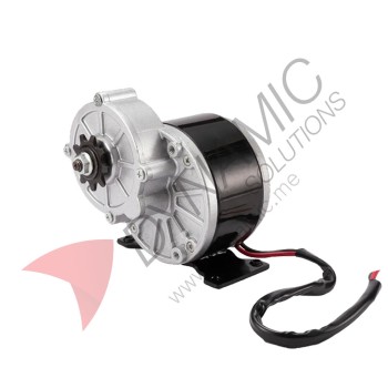 Brushed Permanent Magnet DC Gear Motor 24v 250W