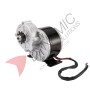 Brushed Permanent Magnet DC Gear Motor 24v 250W