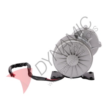 Brushed Permanent Magnet DC Gear Motor 24v 250W