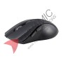 Prolink Wireless Optical Mouse 2.4GHz - PMW6005