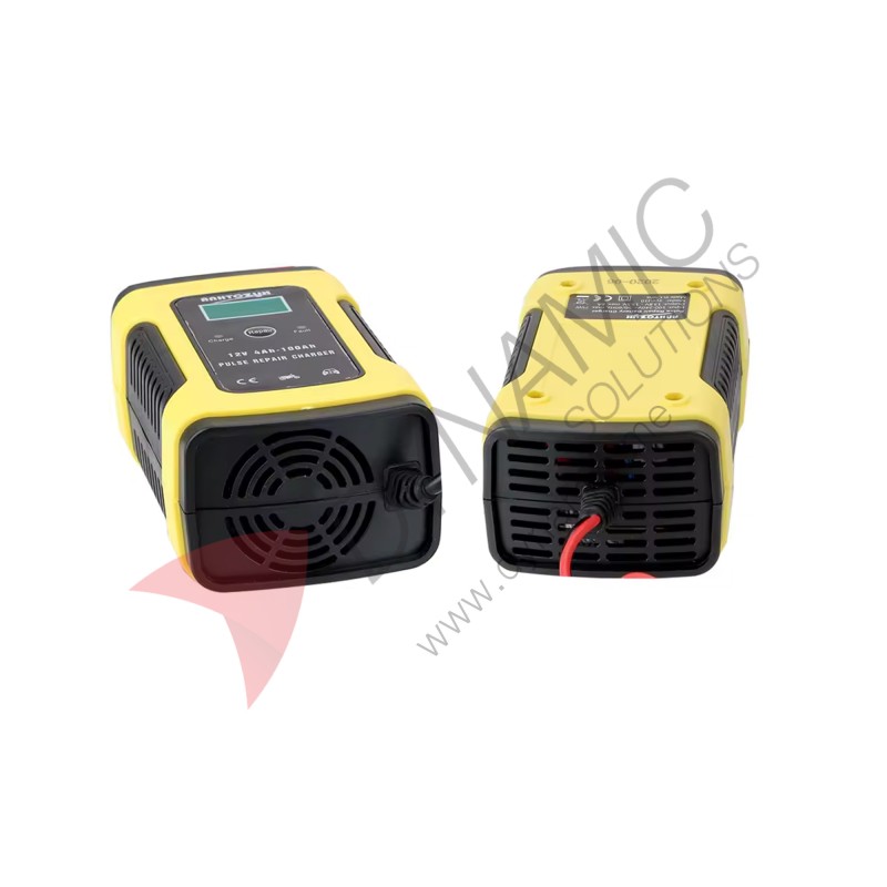12V 6A Pulse Battery Charger