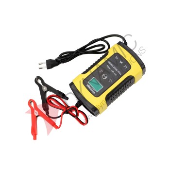 12V 6A Pulse Battery Charger