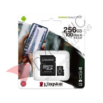 Kingston SDCS2/256GB Micro SD (Class 10)