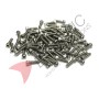Socket Cap Hex Bolt/Screw (Stainless Steel DIN912)